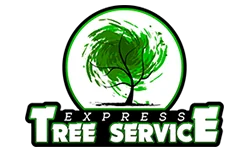 Express Tree Service