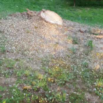 Our Work