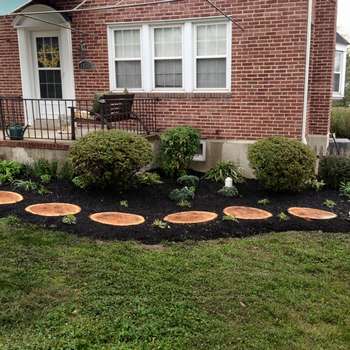 Our Work