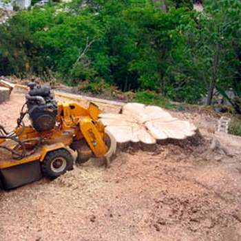 Stump grinding