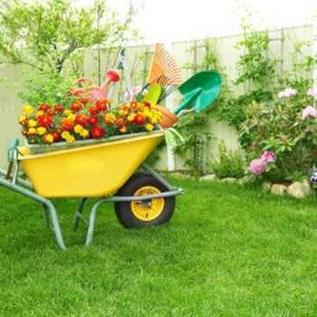Landscaping Services
